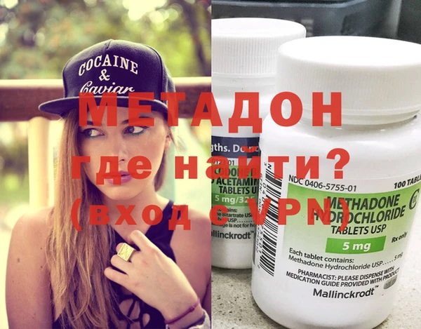 индика Вяземский