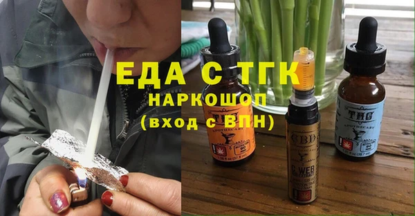 индика Вяземский