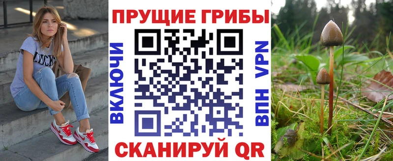 Галлюциногенные грибы мухоморы Канск