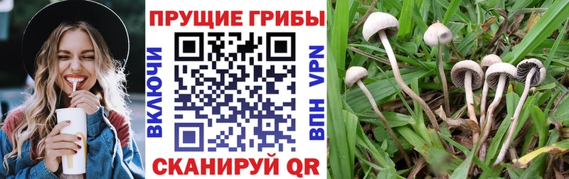 Галлюциногенные грибы прущие грибы  MEGA рабочий сайт  Канск 